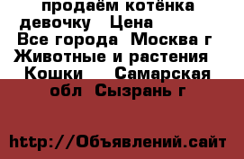 продаём котёнка девочку › Цена ­ 6 500 - Все города, Москва г. Животные и растения » Кошки   . Самарская обл.,Сызрань г.